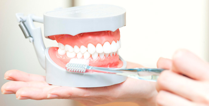 予防歯科・メインテナンス